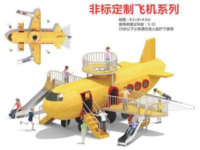 非標(biāo)定制飛機系列1
